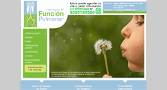 Desktop Screenshot of funcionpulmonar.com