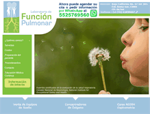 Tablet Screenshot of funcionpulmonar.com